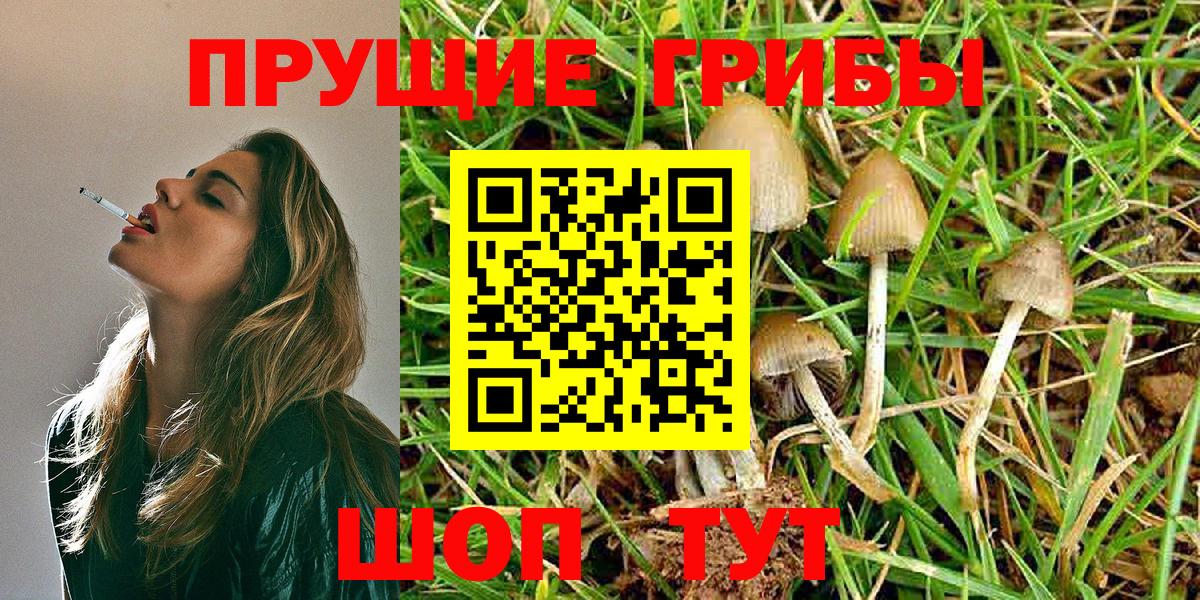 Галлюциногенные грибы Psilocybe  как найти закладки  Сосновоборск  Вход с VPN 