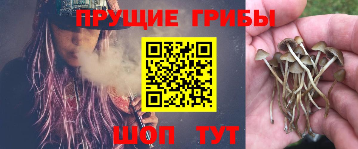 Псилоцибиновые грибы GOLDEN TEACHER Сосновоборск